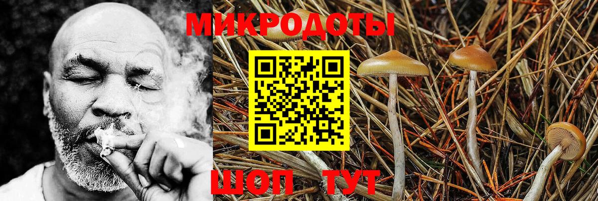 Галлюциногенные грибы мицелий  Псилоцибиновые грибы прущие грибы  Вход с VPN  Калининград 